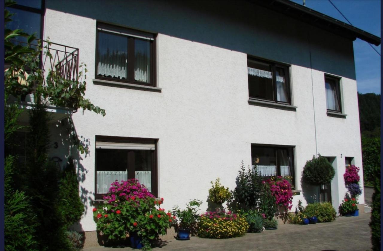 Ferienwohnung - Hunz - Chambres d'hôtes Schutz