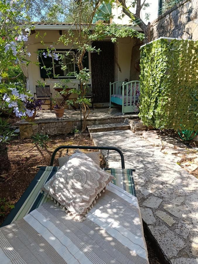 Casa Natasa - B&B Oziás