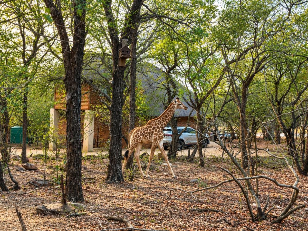 Sounds of Kruger Safari Villa - B&B Marloth Park
