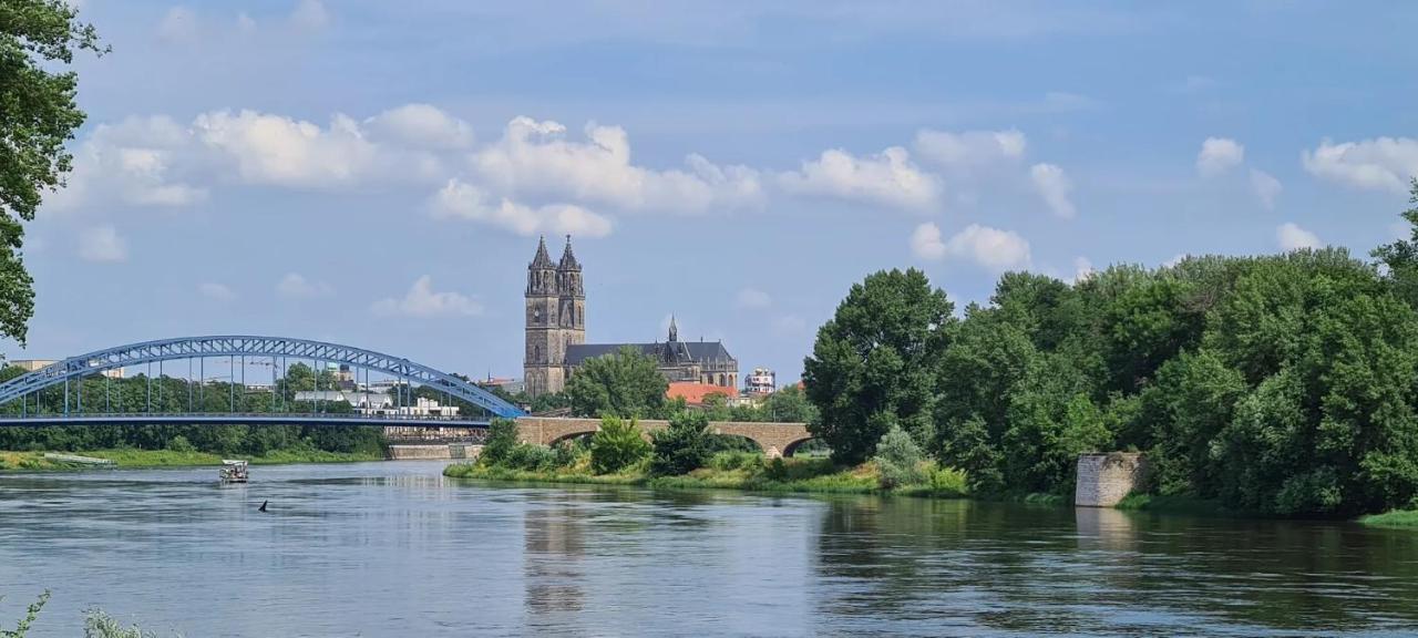 Zentral & ruhig - Stadt, Elbe und Natur nebenan - Chambres d'hôtes Magdebourg