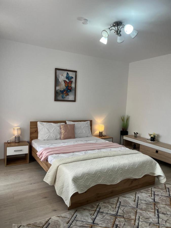 Casa Bocan - B&B Geoagiu-Băi