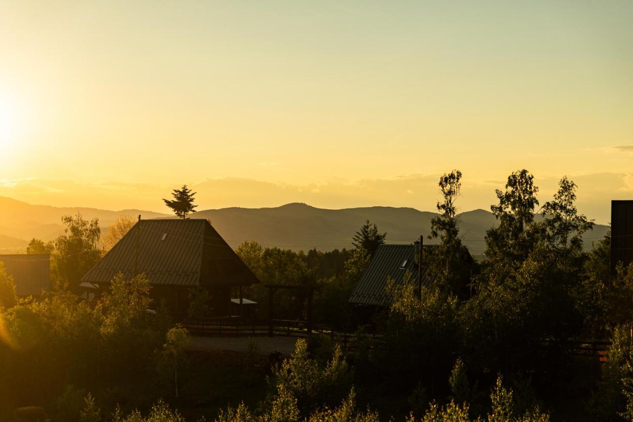 Casa Aproape de Stele din Beliș, Apuseni - Bed and Breakfast Călăţele