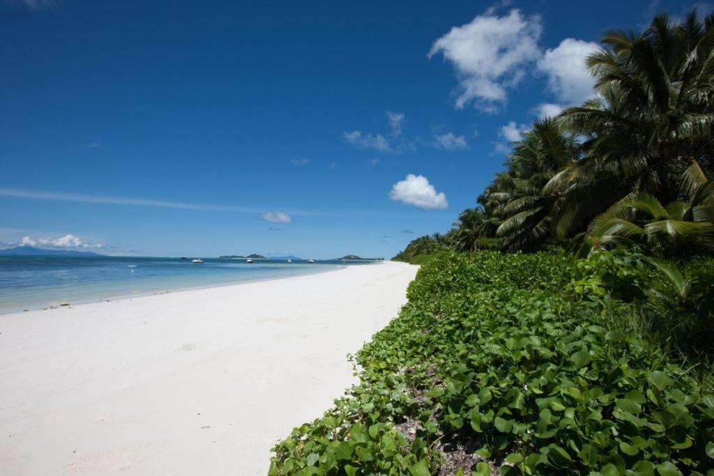 The white sandy beach with green foliage stretches at dog-friendly Villas des Alizes in Praslin Island.