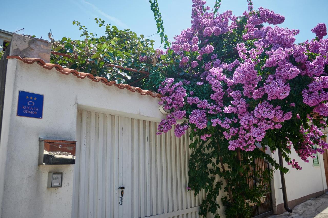 Holiday House Angelina - Chambres d'hôtes Biograd na Moru