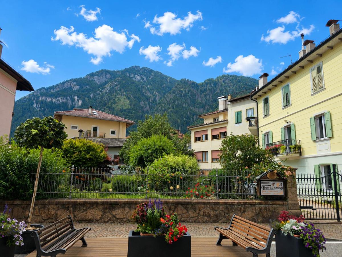 Casa Dolomitica - Alpine Stay Apartments - B&B Predazzo