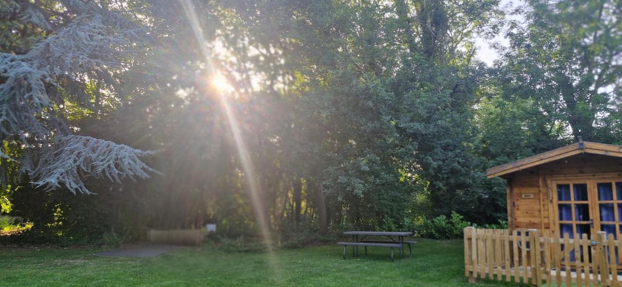 Muntjac Lodge dog friendly nr Anderby Creek - Ferienwohnung Alford