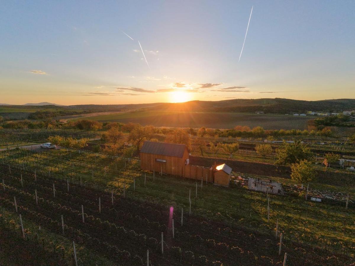 Tiny house Pálava - Ferienwohnung Bořetice