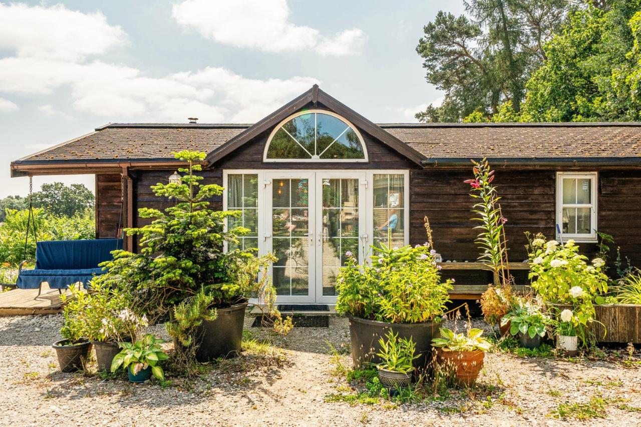 Alpaca Farm Views Sleeps 4 Parking 1 small dog - B&B York