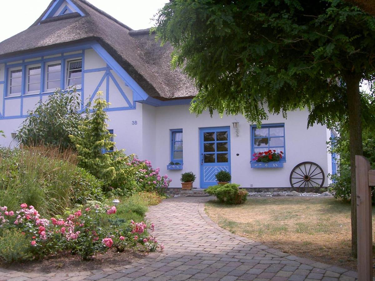 Ferienhaus Diekelmann _ Objekt 258 - Bed and Breakfast Diedrichshagen