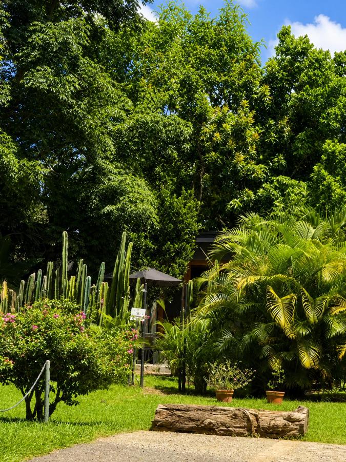 Cabaña Campestre con jaccuzi y piscina privada en Cerritos - Bed and Breakfast Pereira
