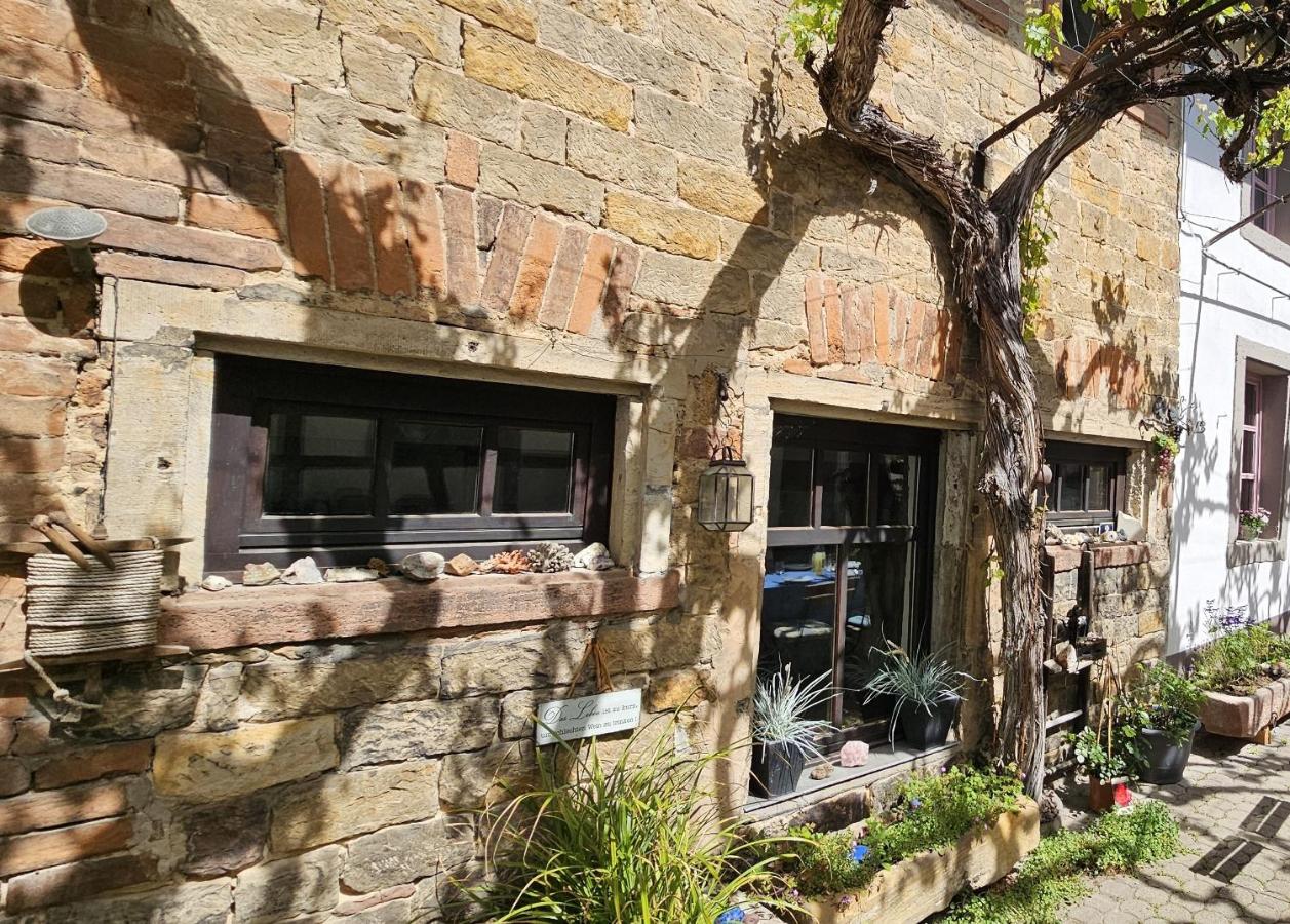 Alte Backstube, Maissonette im romantischen Hof - Bed and Breakfast Edenkoben