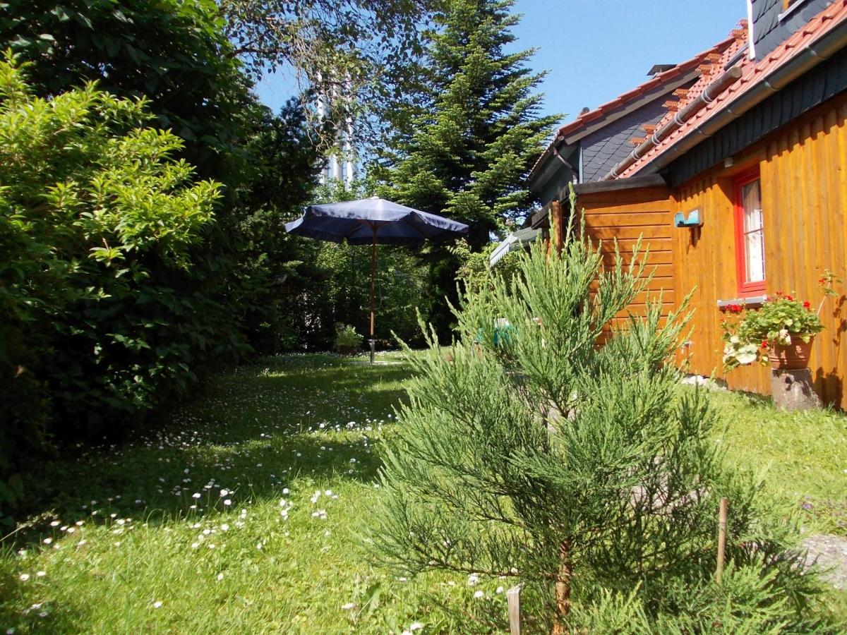 Ferienhaus Sequoia Hahnenklee - B&B