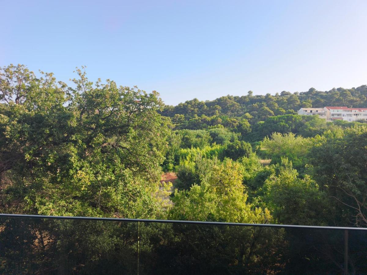 Dubrovnik A2 - B&B Dubrovnik