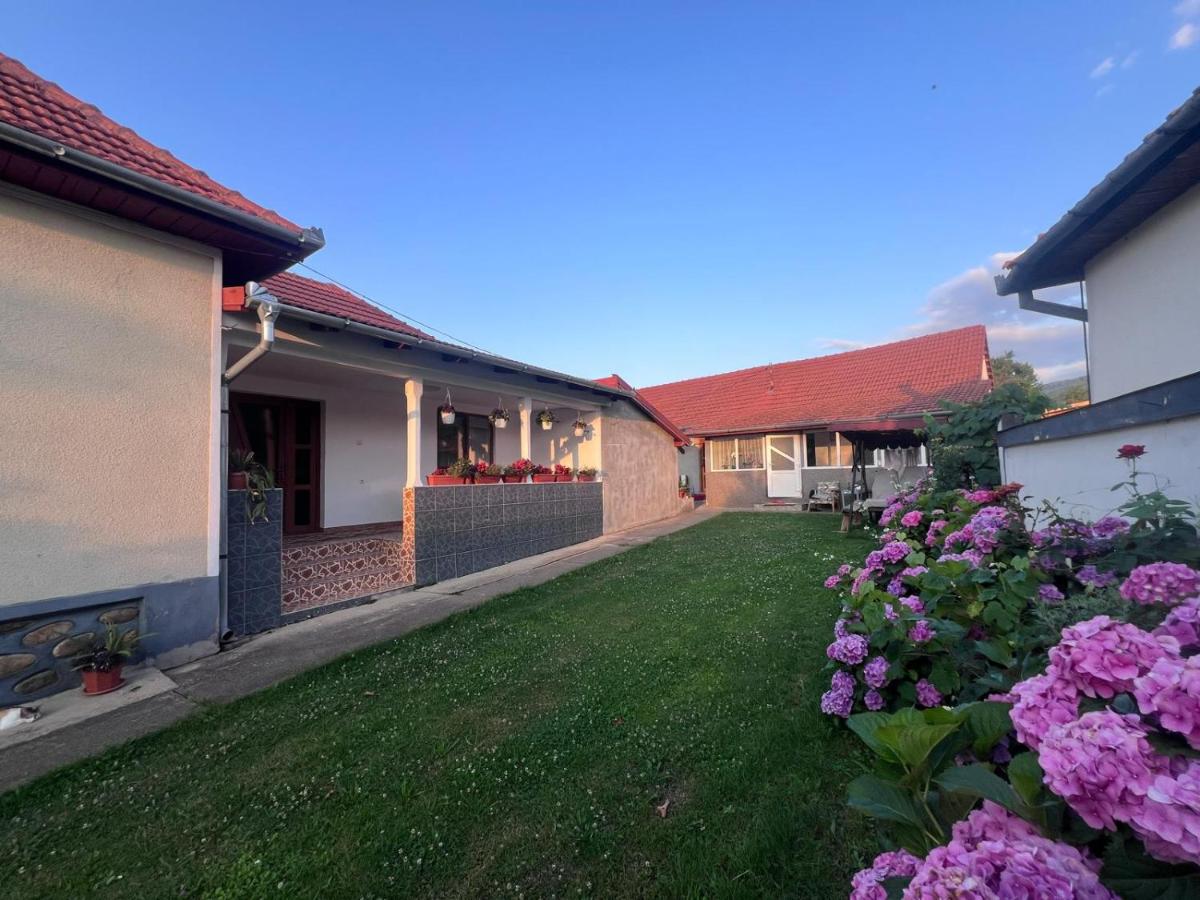 Casa Angela - Bed and Breakfast Râu de Mori