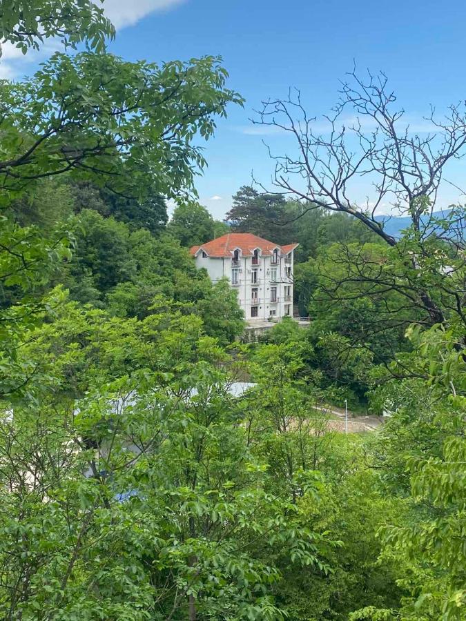 Forest Escape - Bed and Breakfast Soko Banja