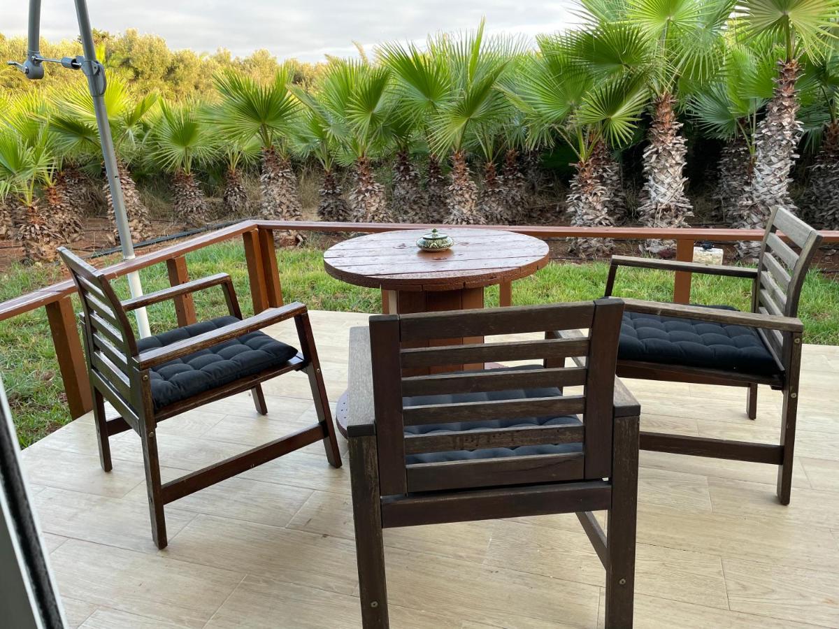 palmeraie4 - B&B Skhirate