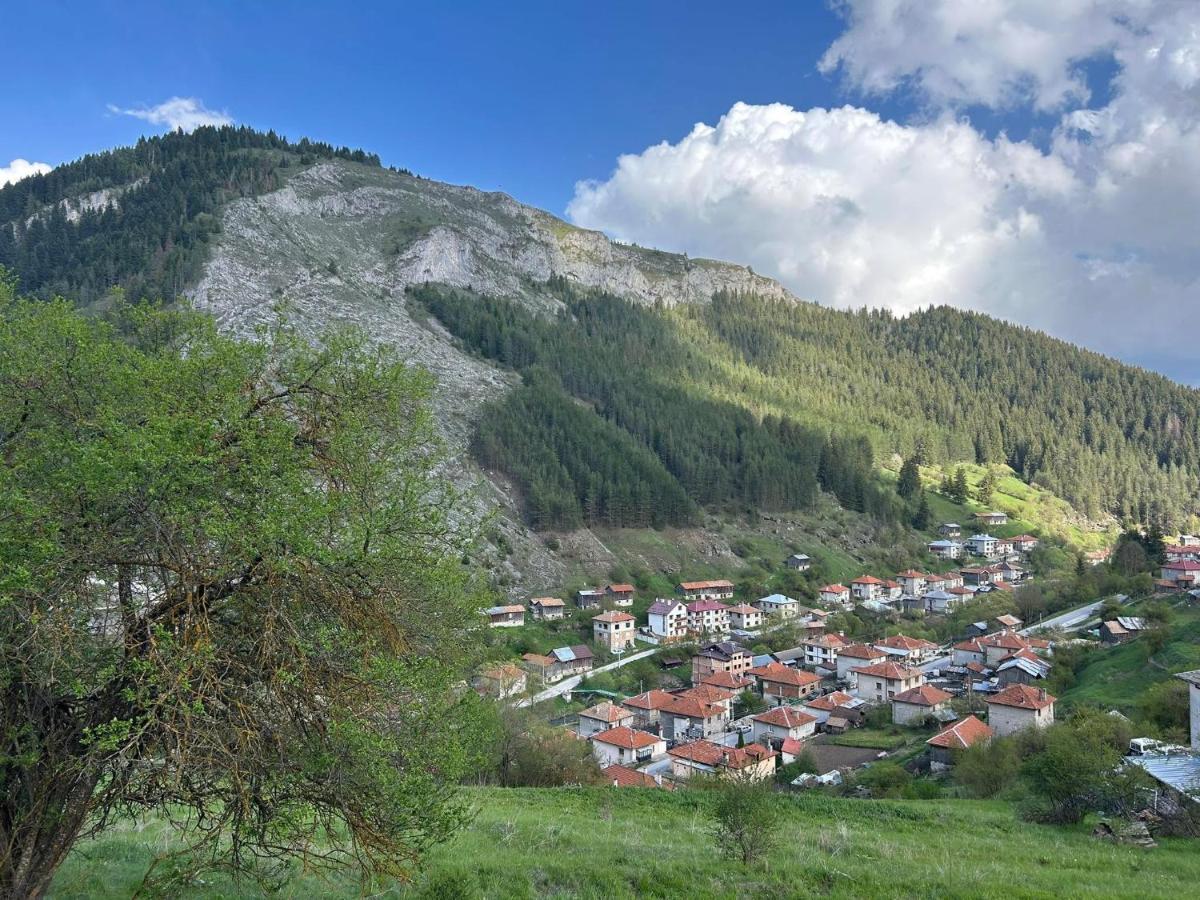 Къща за гости Изгрев - B&B Trigrad