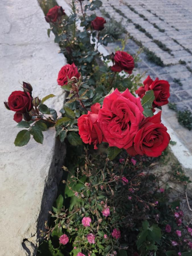 gultuk home stay - B&B Leh