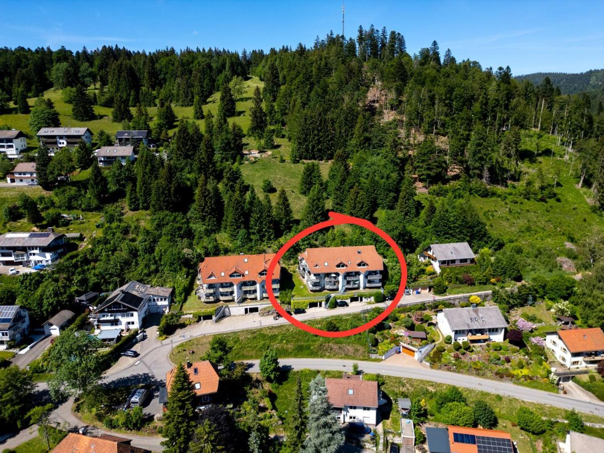 Ferienwohnung Panoramablick - super für deine Familie und die besten Aussicht in ganz Todtmoos - Chambres d'hôtes Todtmoos