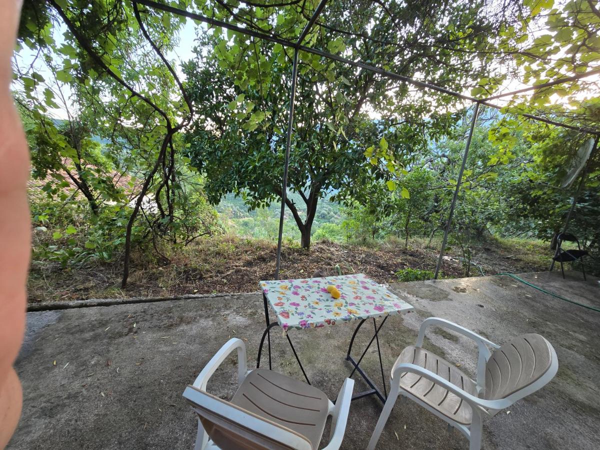 Moza Guesthouse Fterre - B&B Fterë