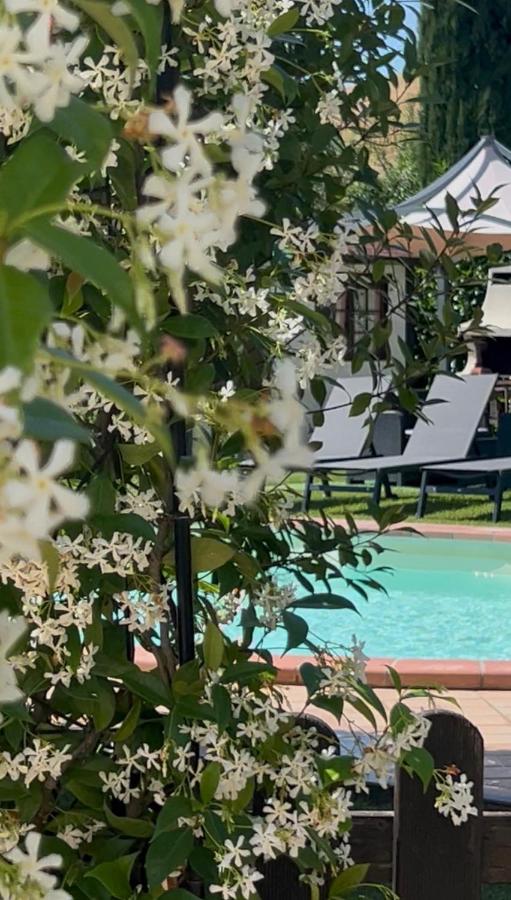 RelaxHomeHoliday - B&B Panicale