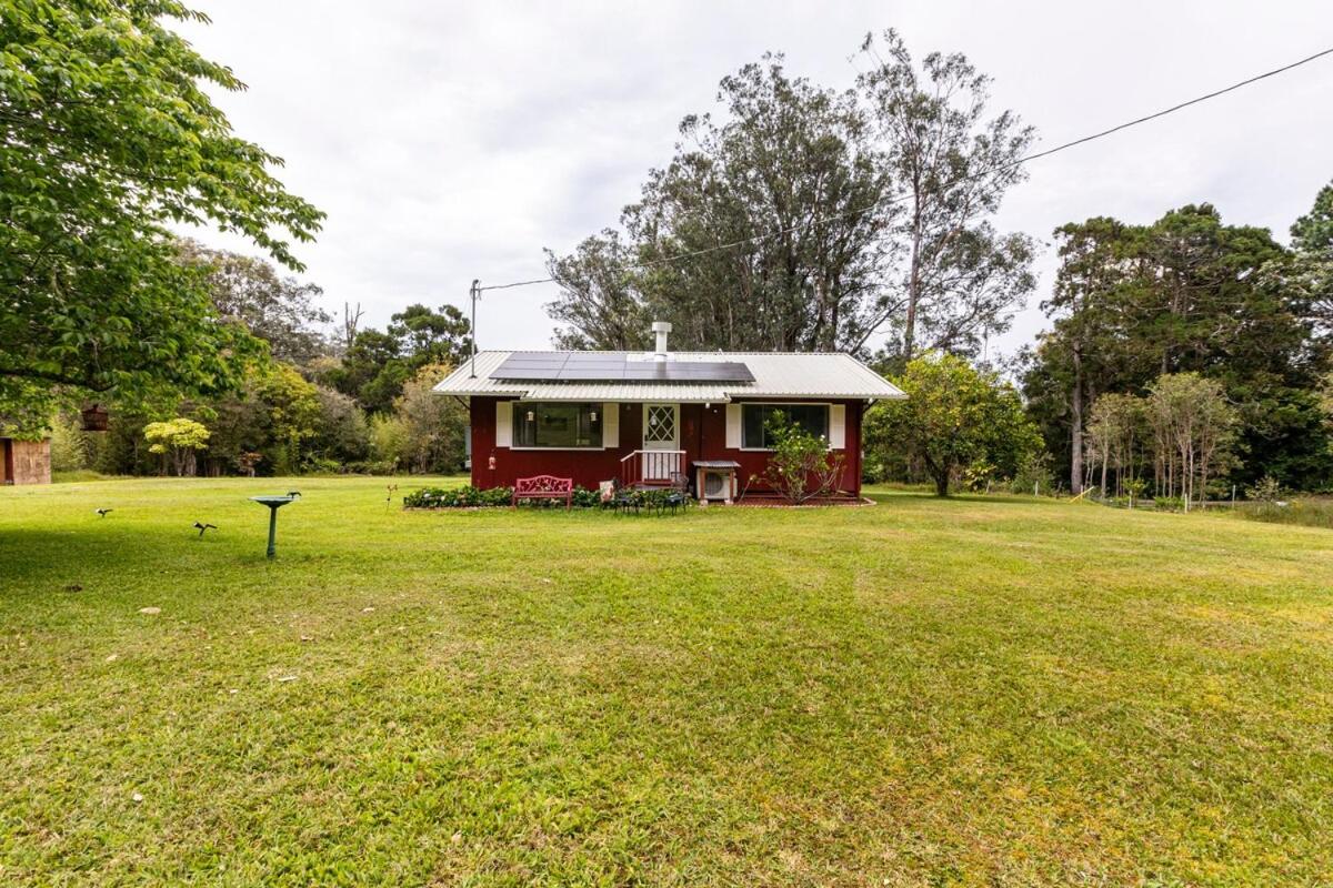 Rainforest Retreat - B&B Honokaa