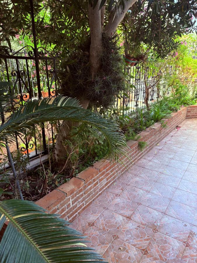 Ciuscia 0 - B&B Calatabiano