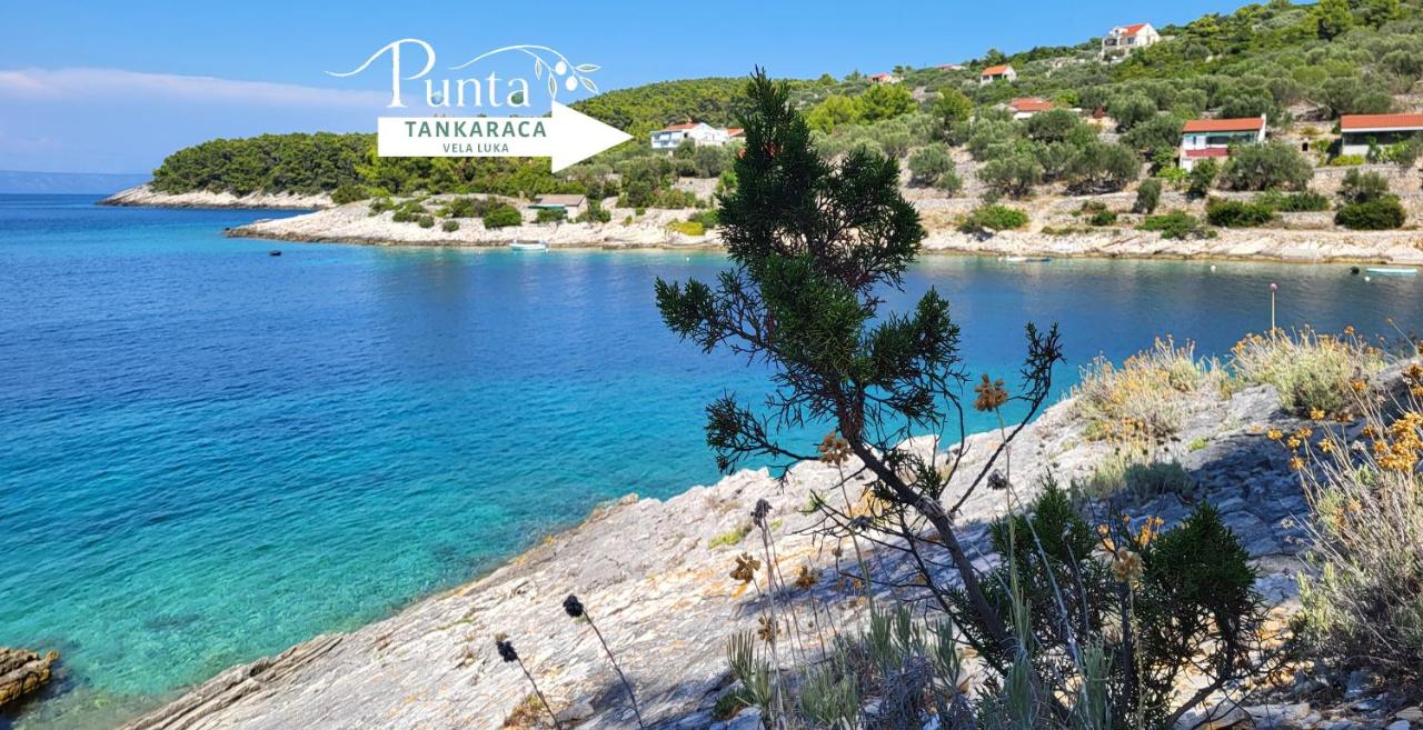 Punta Tankaraca - Vela Luka - B&B Vela Luka