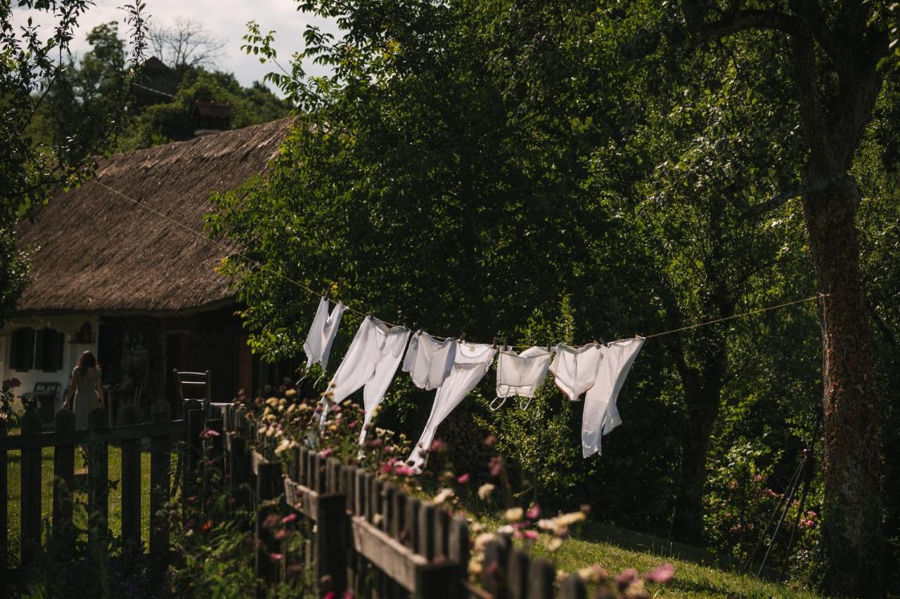 Fairytale cottage Francka - Bed and Breakfast Gorica pri Slivnici