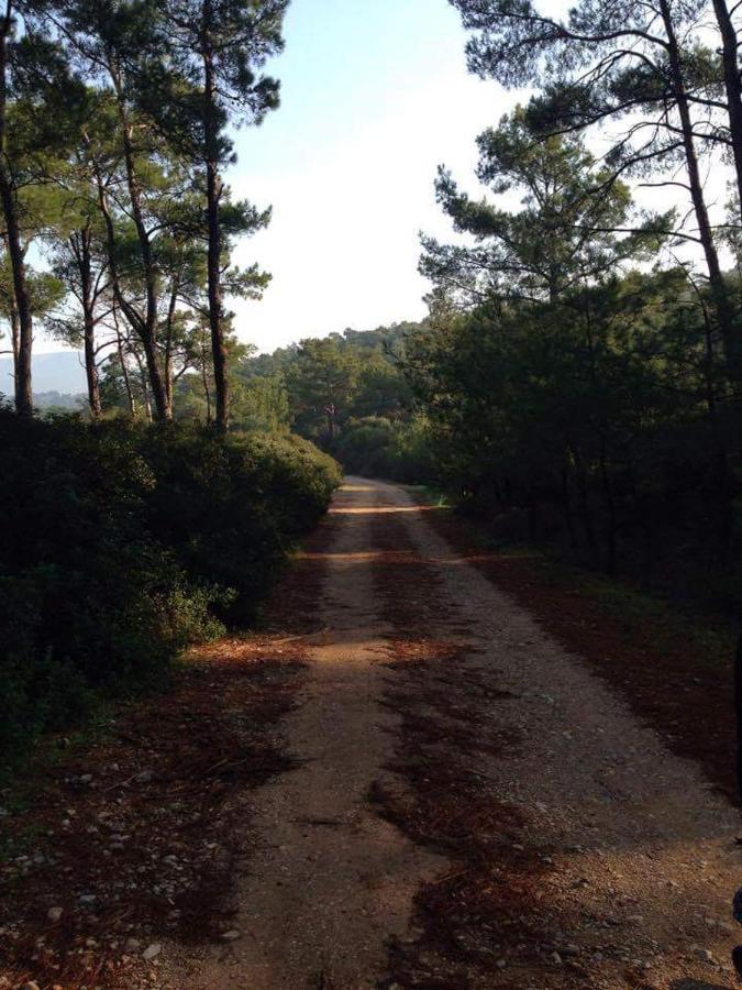 Keskin Holiday Homes | 3003 Sokak No 251 7. Block D 12, 09270 Akbük/Aegean Region | +90 553 553 52 49