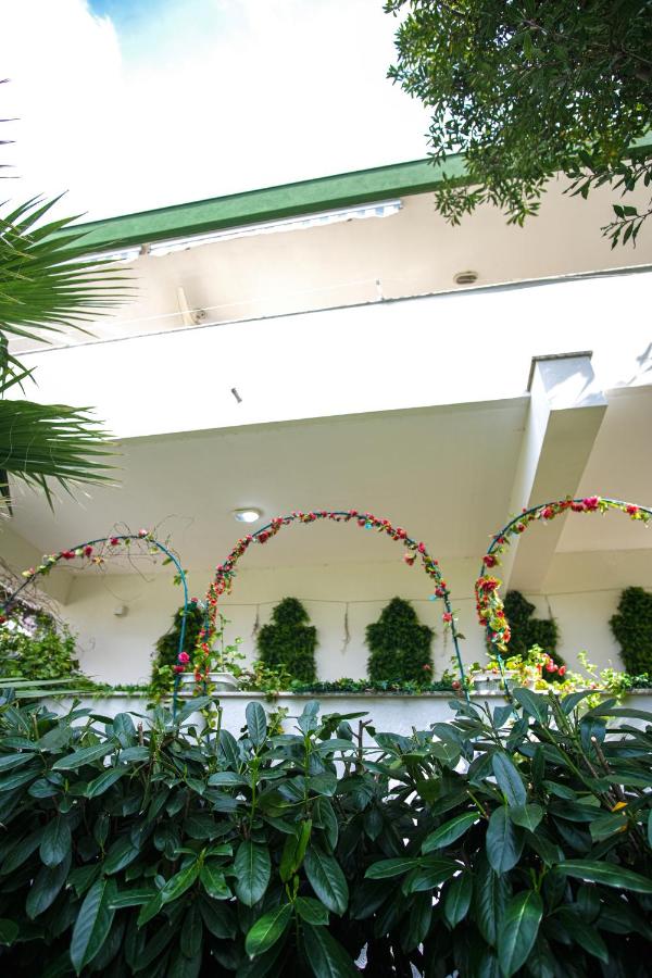 Casa di Sofia vicino Ospedale e Grotte - B&B Castellana Grotte