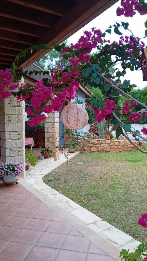 Room in a Traditional House near the sea - Chambres d'hôtes Limassol