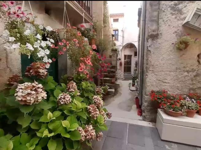 A casa di Nonna Peppina a Caggiano - Chambres d'hôtes Caggiano
