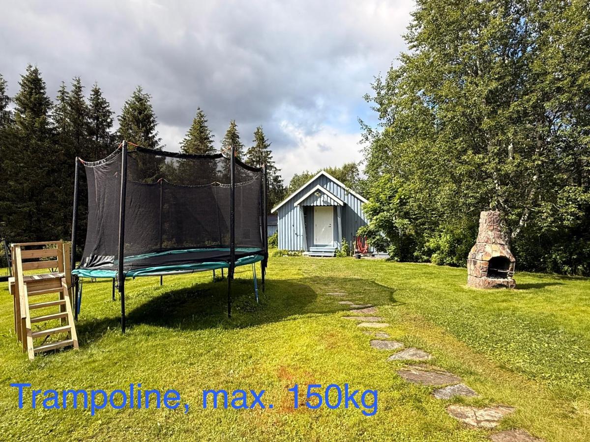 Skogslåven - B&B Stormoen