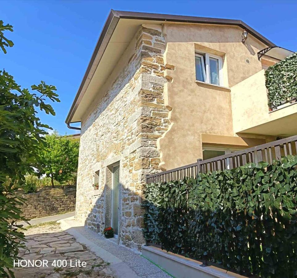 Casa del pittore - B&B Zarečje