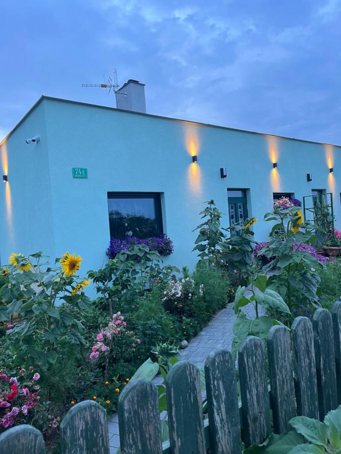 Zielona Przystań - B&B Boruja