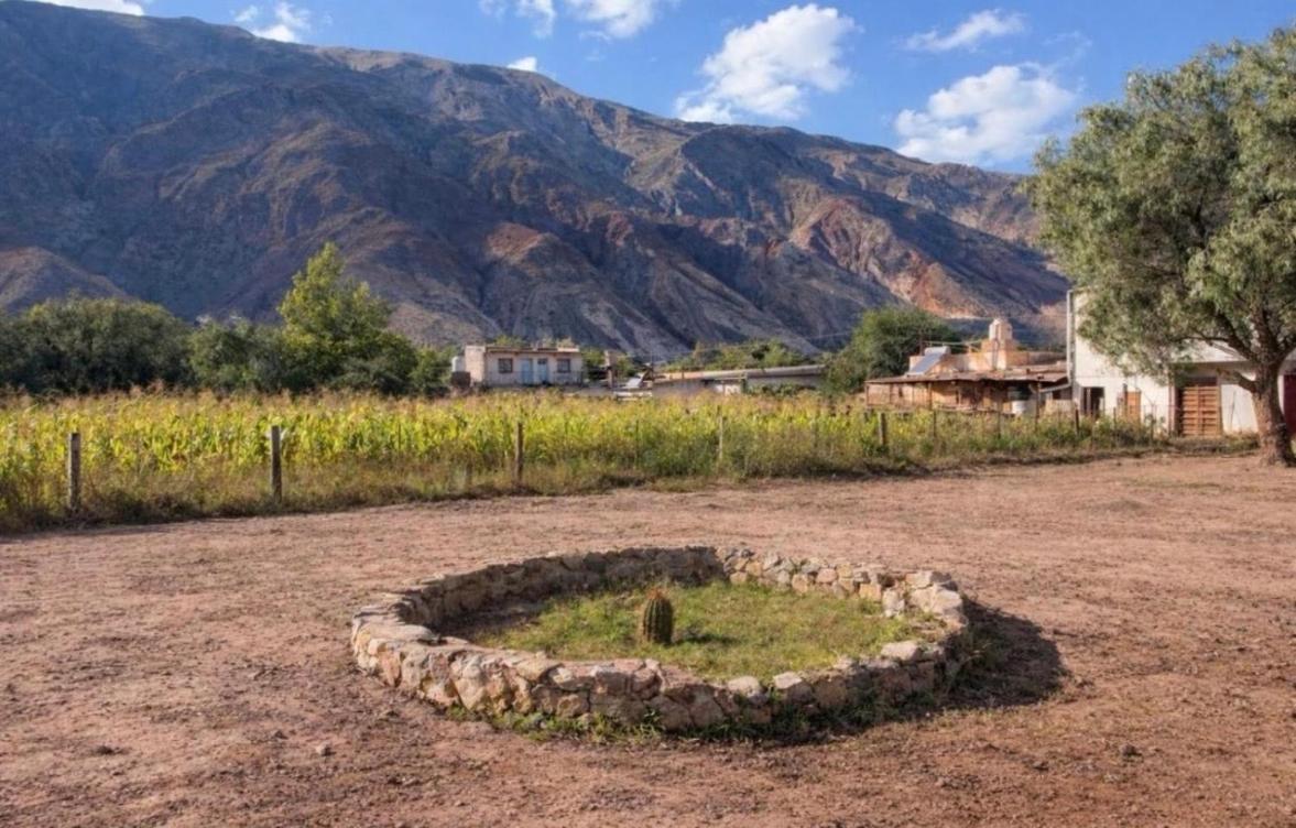 Cabañas el cardon - Ferienwohnung Maimará