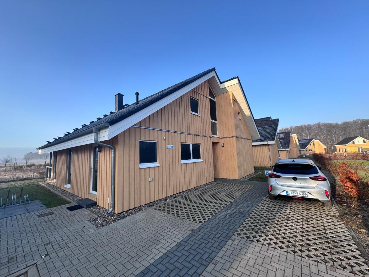 Schwan 308 - B&B Mirow