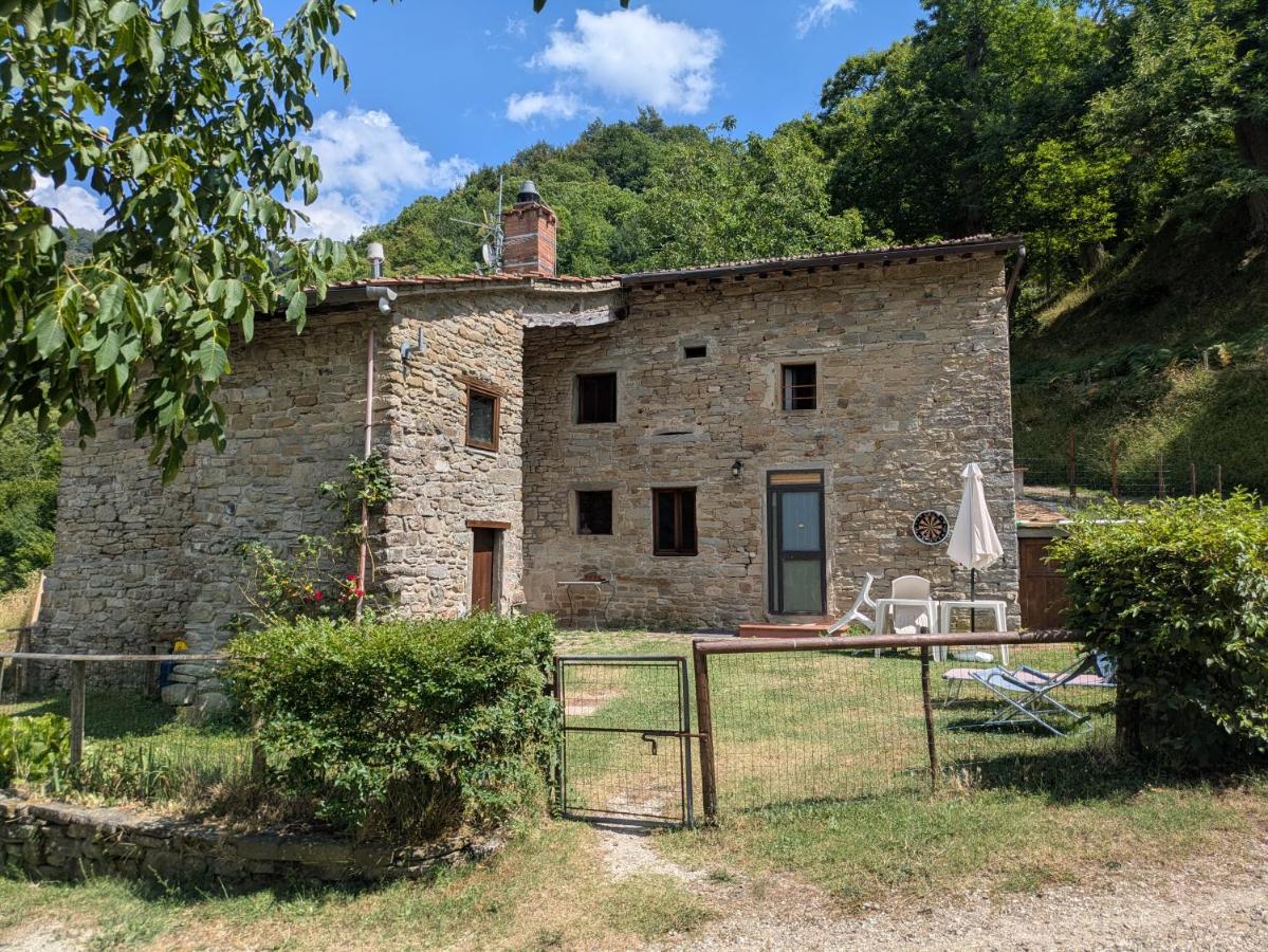 Mimmo's Holiday House - B&B San Godenzo