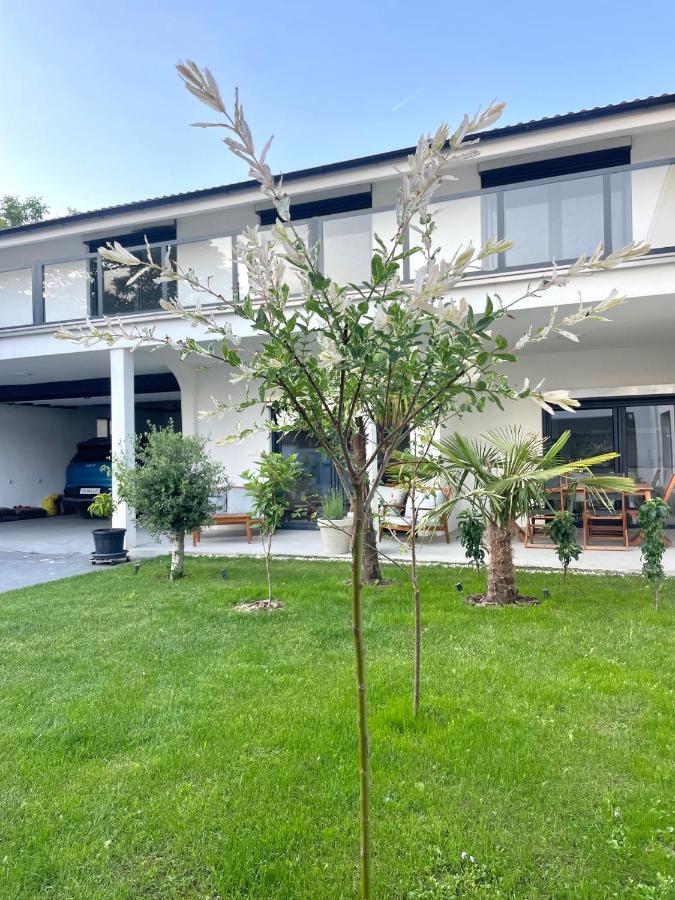 Senje Sky Inn - B&B Senje