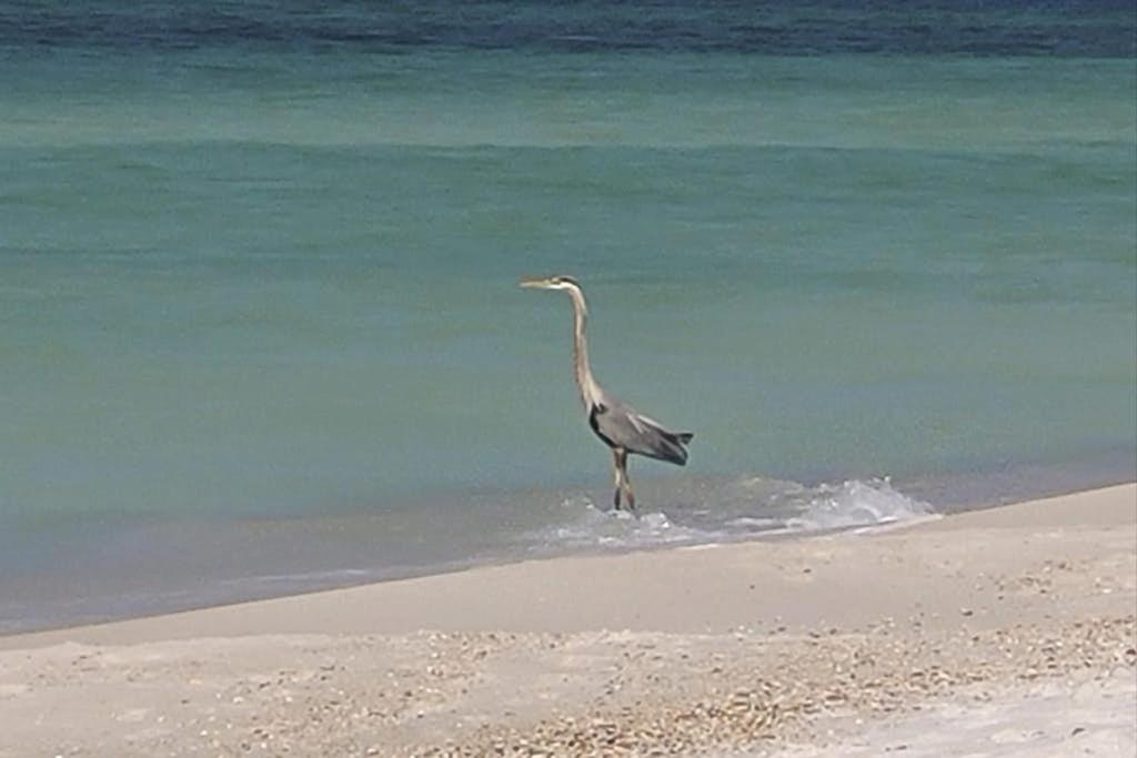 Dog-friendly vibrant home with jetted tub - 2 miles to beach - B&B Panama City Beach