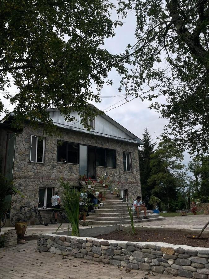 Hill Guesthouse - Wine Cellar, Fish Farm & Organic Cuisine - B&B Keda