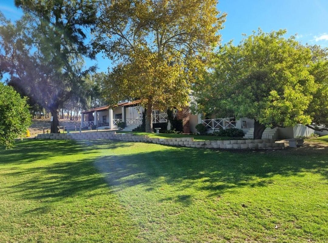 Apartamento - Planta baja