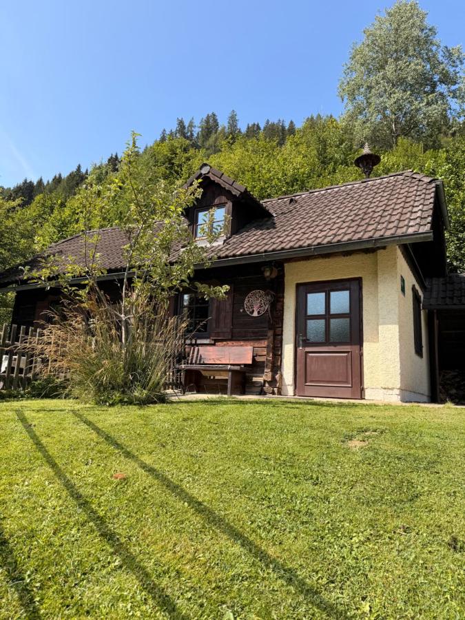 Umundumhütte - Ferienwohnung Katsch an der Mur