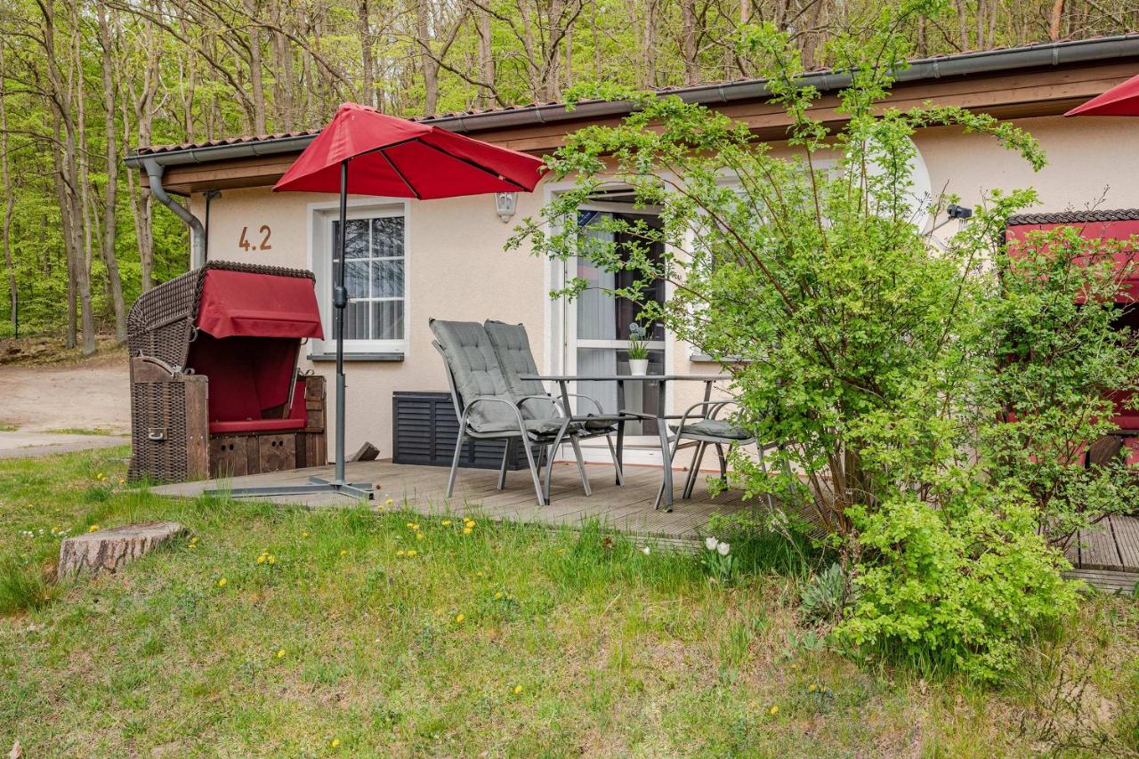 Waldsiedlung Waldhaus App 4.2 - Bed and Breakfast Korswandt