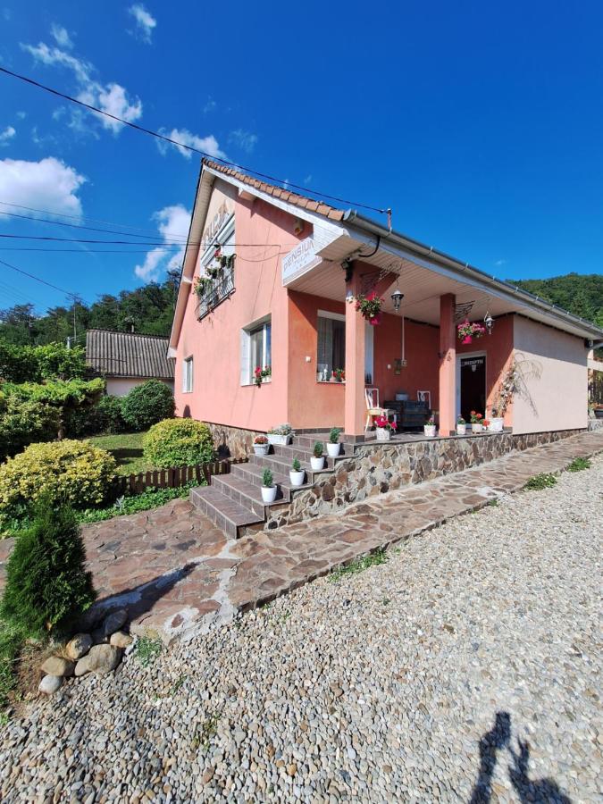 JULIA Garden House - Chambres d'hôtes Sighișoara