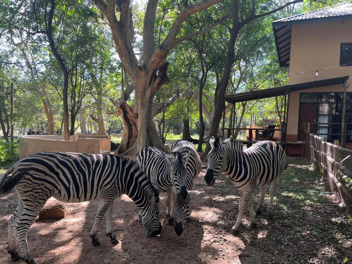 Blyde River Self-Catering Studios - B&B Hoedspruit