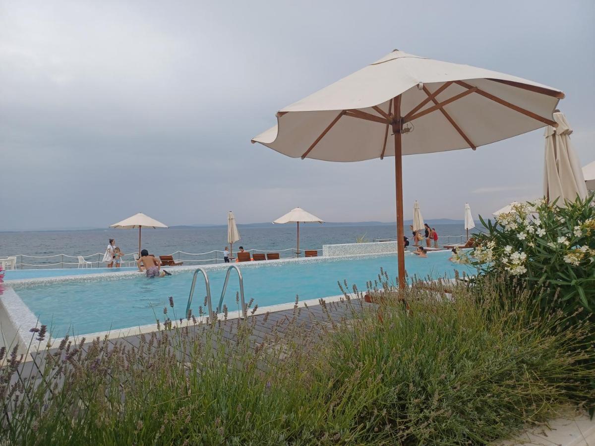 Apartment Sara Punta Skala - B&B Petrcane