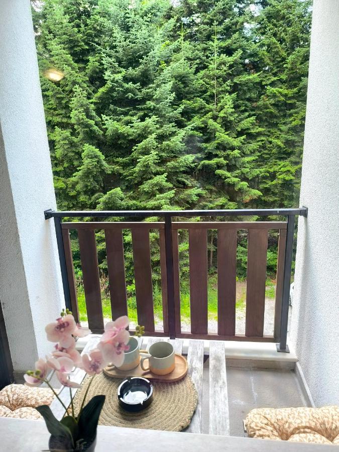 Apart Hotel Borovets Gardens А31 - B&B Borovets