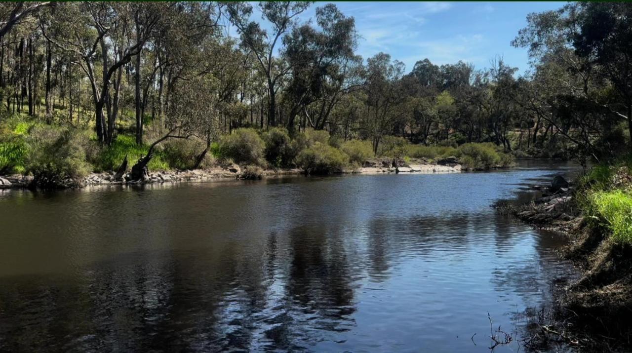 Riverfront, Tiny Home in Natural Bush - B&B Bridgetown